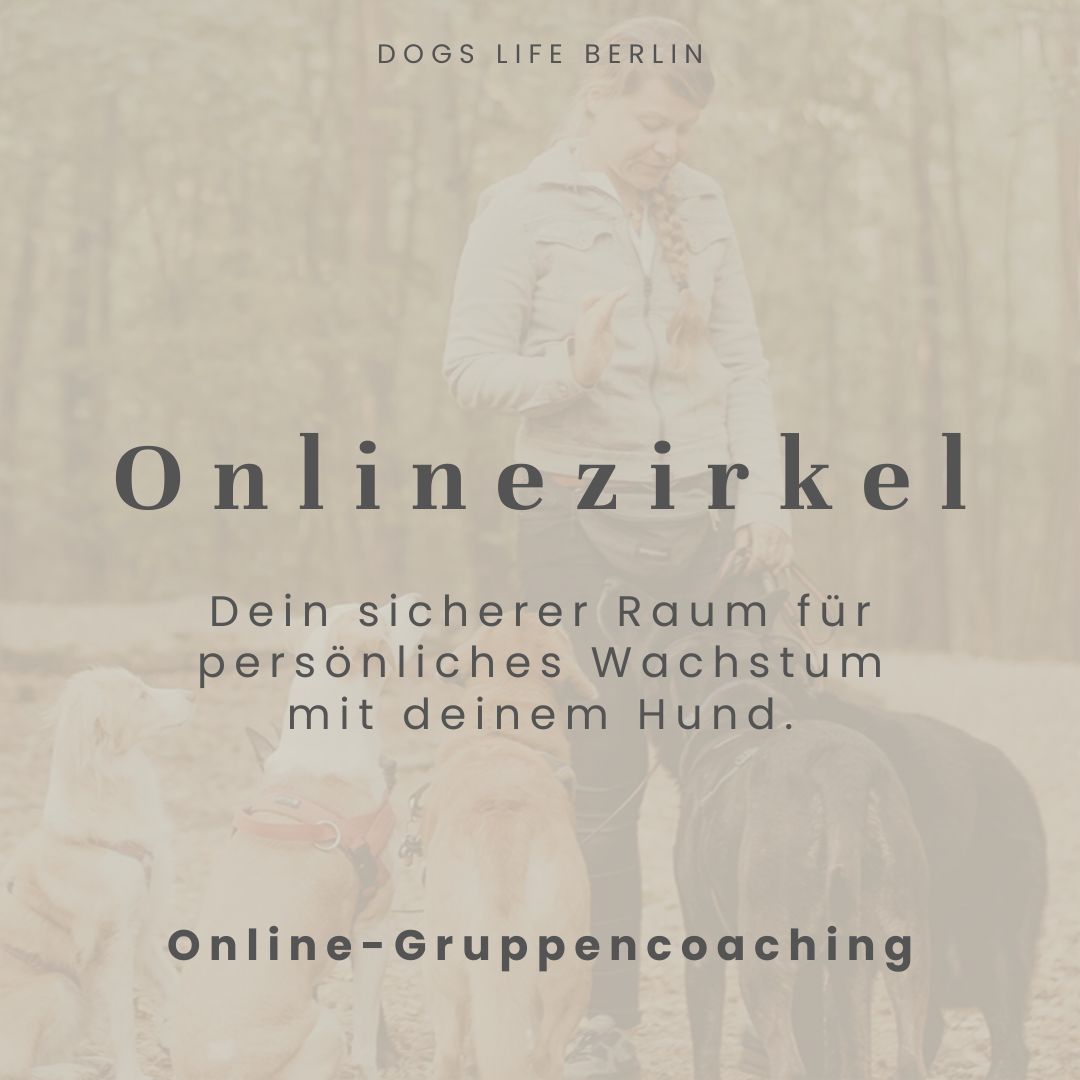 Online Gruppencoaching